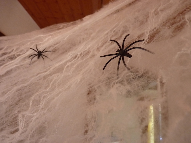 spiders