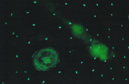 planetes